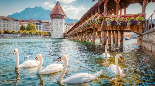 thanh-pho-lucerne.webp