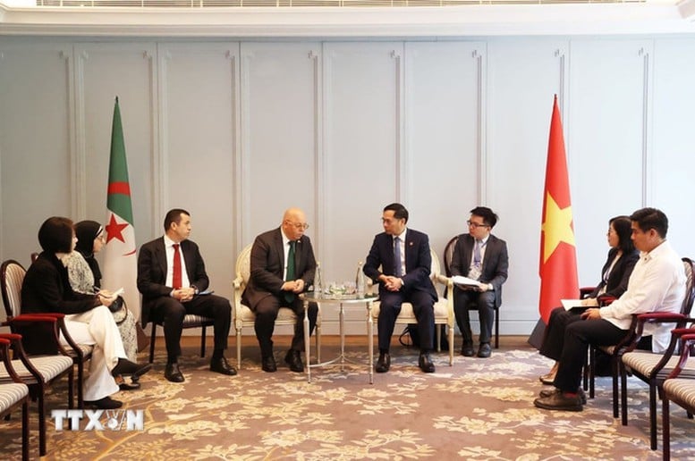 Phó Thủ tướng Bùi Thanh Sơn tiếp Bộ trưởng Bộ Cựu chiến binh và Người có công Algeria- Ảnh 1.