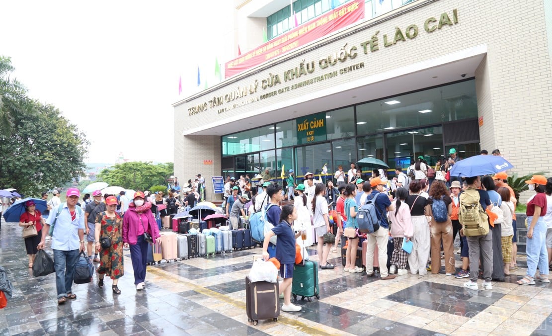 baolaocai-br_a6.jpg