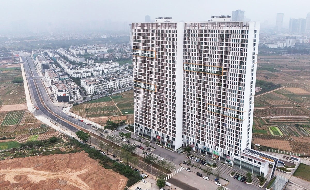 រូបភាព-7.jpg