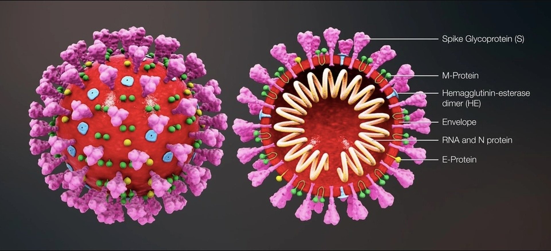 Vaccine made-in Vietnam: Những viên gạch đầu tiên và giấc mơ xuất khẩu - 5
