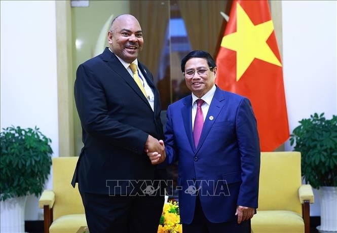 Thủ tướng Phạm Minh Chính tiếp Bộ trưởng Ngoại giao và Hợp tác Đông Phi nước Cộng hòa Thống nhất Tanzania Mahmoud Thabit Kombo. Ảnh: Dương Giang/TTXVN