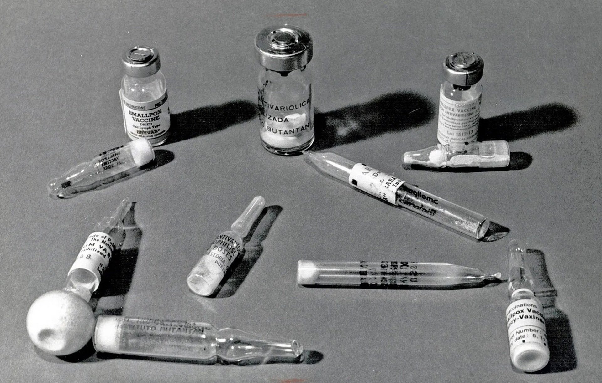 Vaccine made-in Vietnam: Những viên gạch đầu tiên và giấc mơ xuất khẩu - 2
