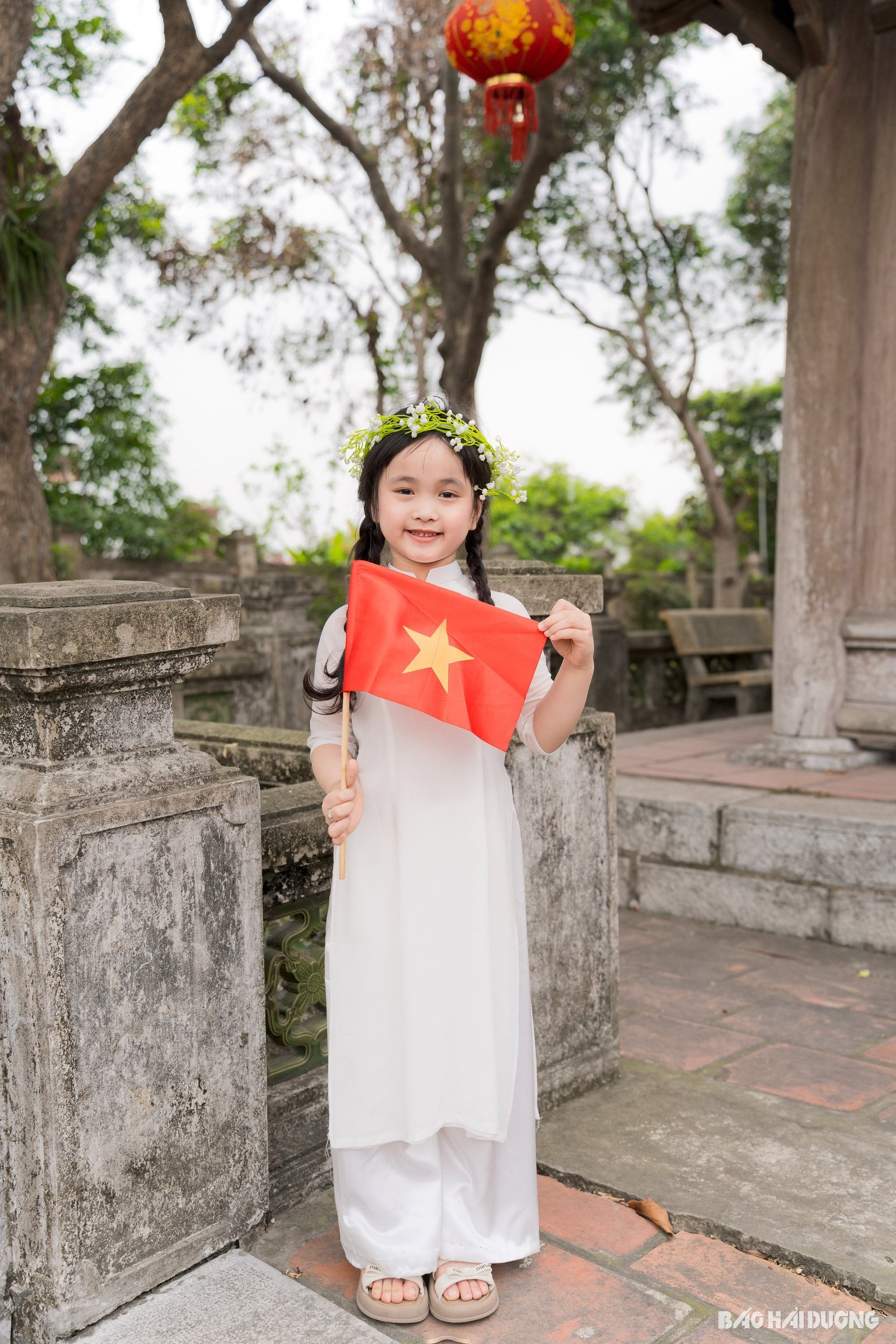 mao-dien-ok(1).jpg