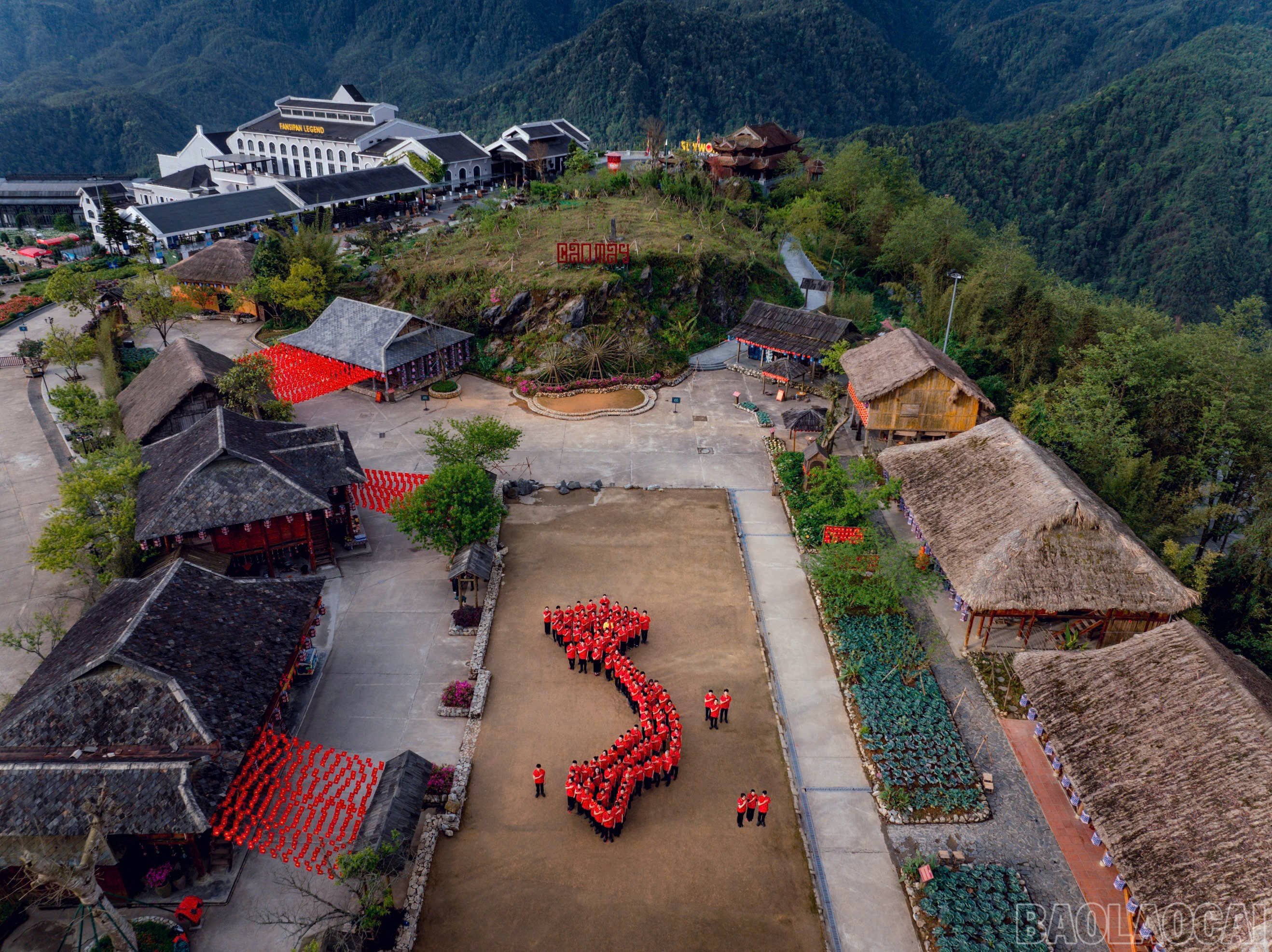 baolaocai-br_088f1cc0e0d852860bc9-1.jpg