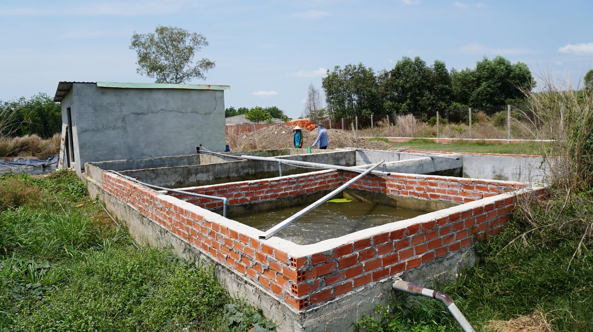 Một góc hệ thống xử lý chất thải của trang trại Futifarm. Ảnh: Trần Trung.