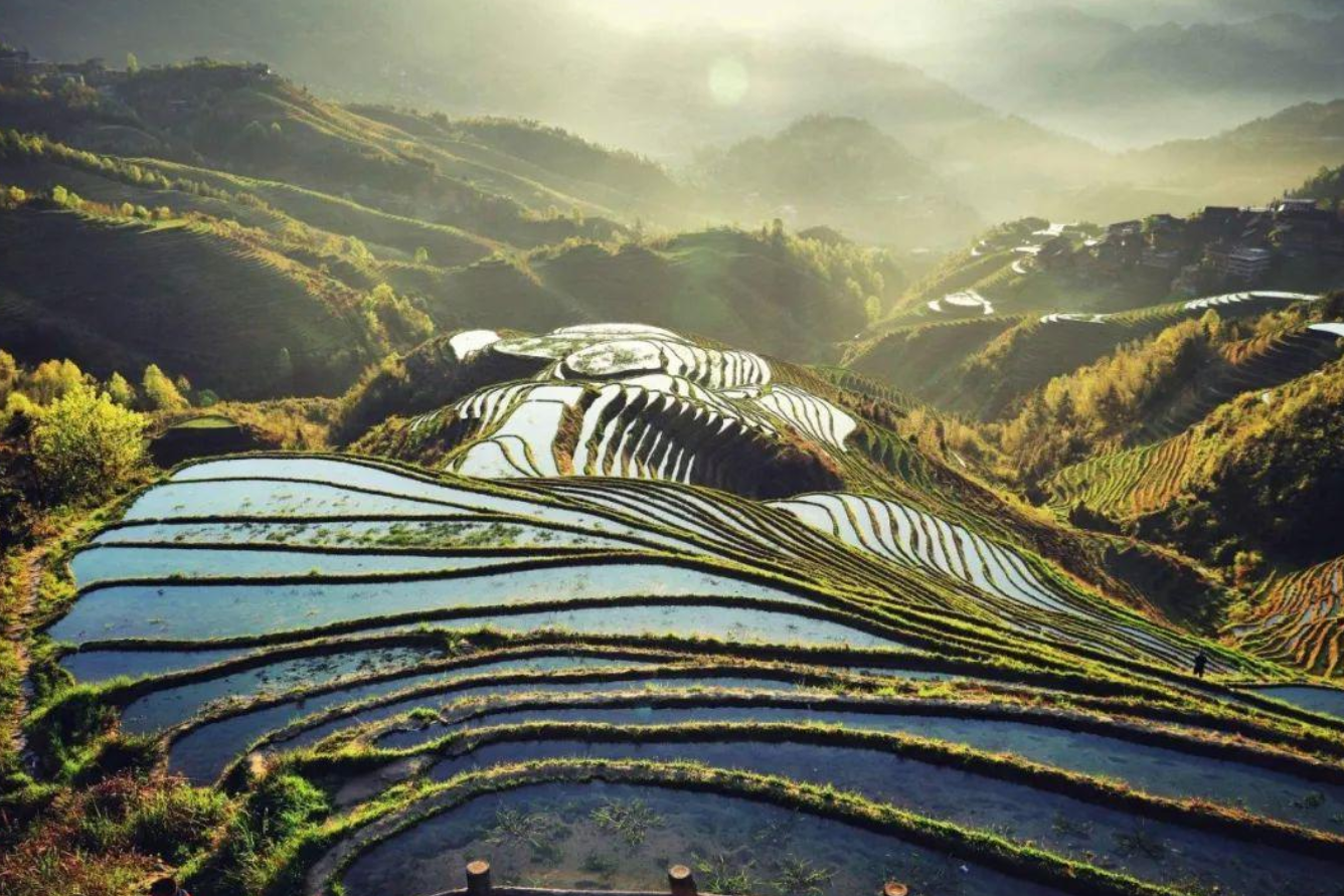 ruong-bac-thang-long-tich-3.png