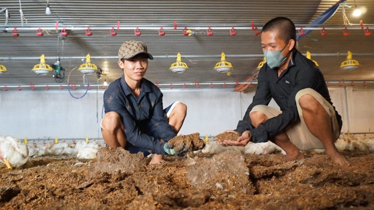 Toàn bộ khu nuôi đều được bảo vệ bởi đệm lót sinh học. Ảnh: Trần Trung.