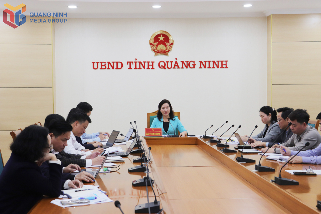 Comrade Nguyen Thi Hanh, Vice Chairman of the Provincial People's Committee delivered a concluding speech at the meeting.