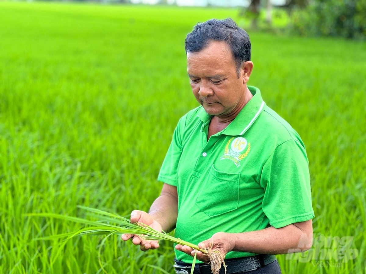 Anh Lý Văn Tương (ấp An Thành, xã Vĩnh Mỹ B, huyện Hòa Bình) tâm đắc với mô hình thí điểm. Ảnh: Trọng Linh.