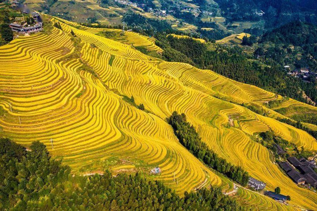 ruong-bac-thang-long-tich-5.png