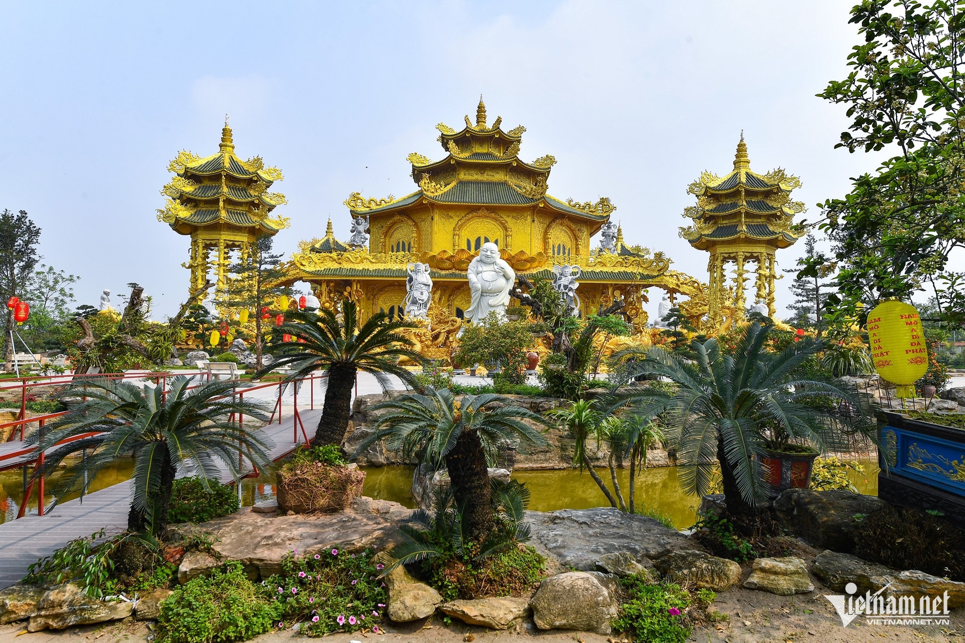 W-golden land_0.jpg