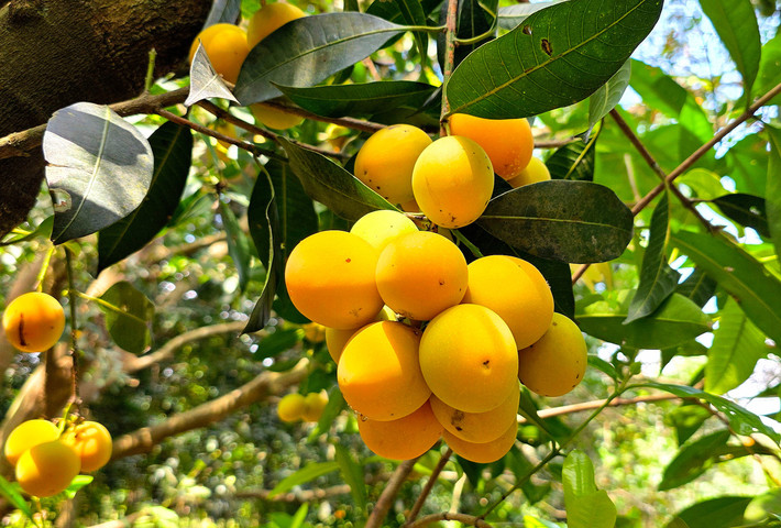 thanh-tra-3.jpg