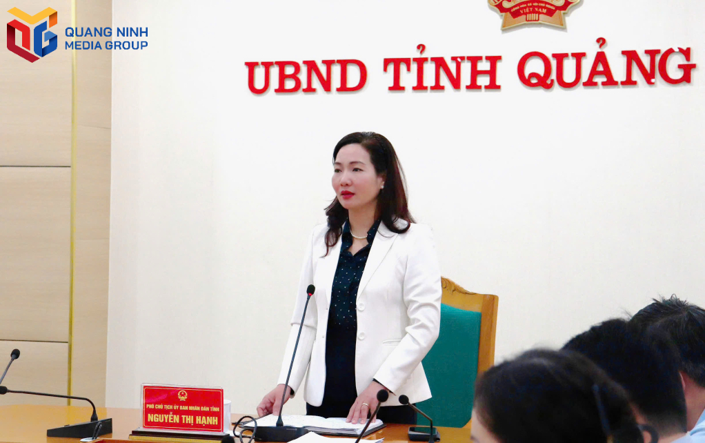 El vicepresidente del Comité Popular Provincial de Quang Ninh dirigió la reunión.