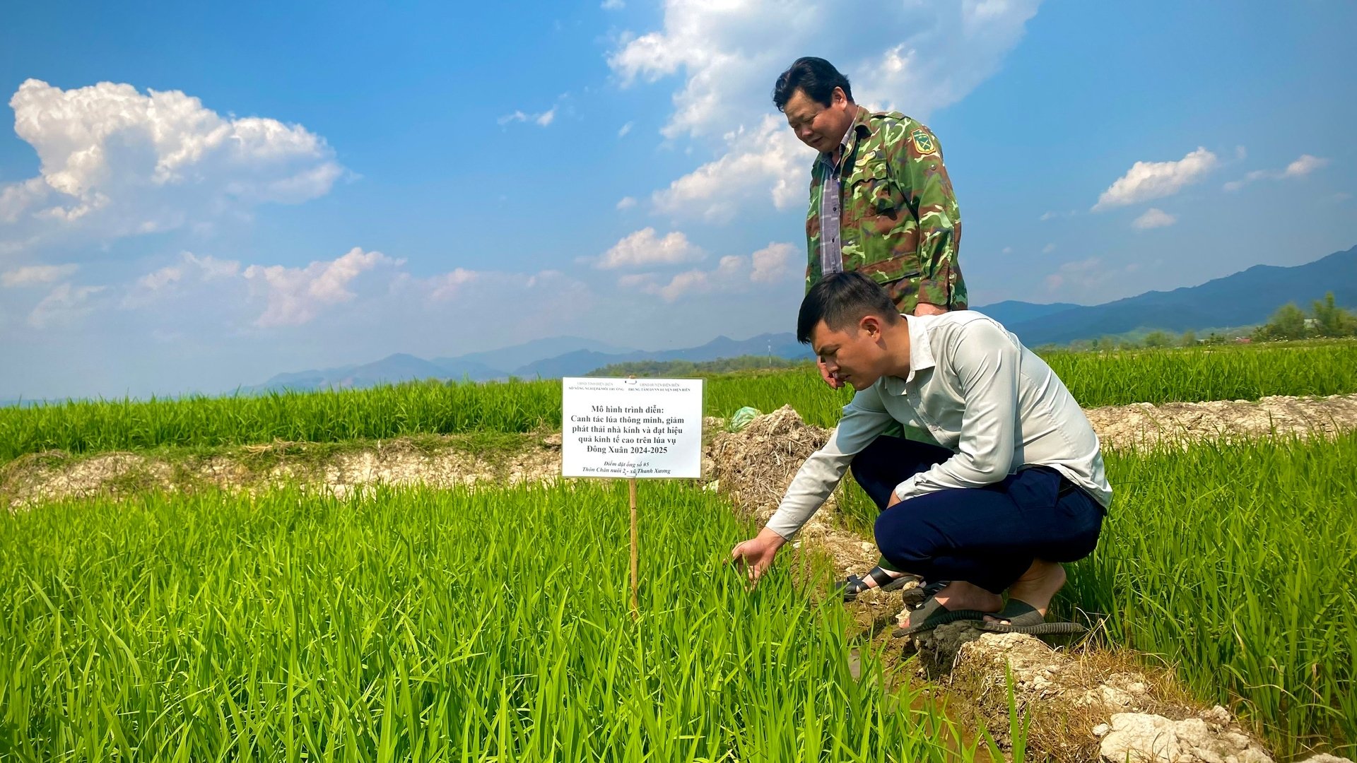 Anh Triệu Tuấn Nghĩa, cán bộ Trung tâm Dịch vụ Nông nghiệp huyện Điện Biên (đang ngồi) cùng cán bộ khuyến nông xã Thanh Xương kiểm tra đồng ruộng. Ảnh: Tú Thành.