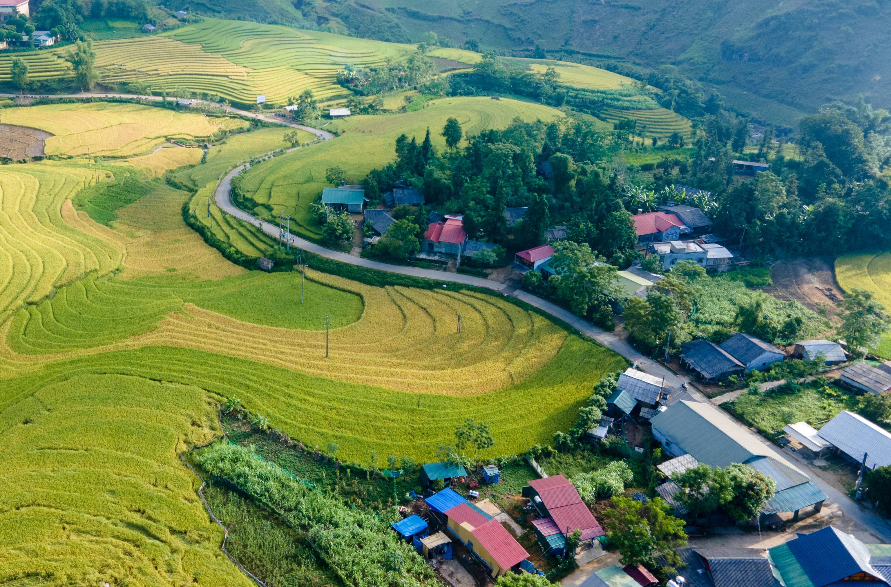 vung-cao-lao-cai-ngay-cang-khoi-sac-anh-ngoc-bang-42.jpg