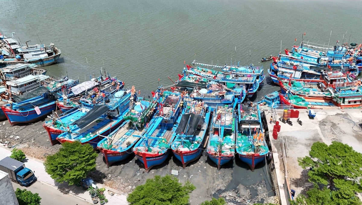 El presidente del Comité Popular de la provincia de Ba Ria - Vung Tau ordenó que el 100% de los barcos pesqueros deben tener documentos suficientes de acuerdo con las regulaciones antes de que se les permita salir a alta mar. Foto: Le Binh.