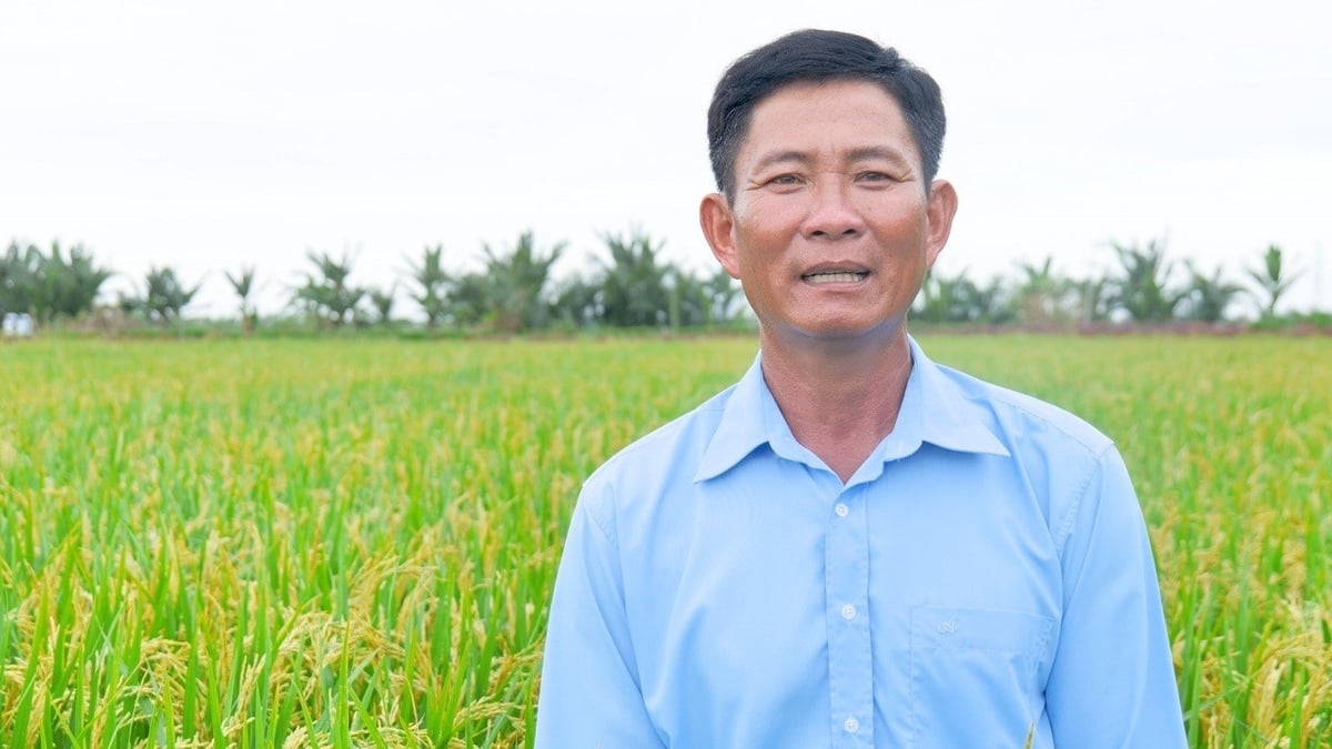 Ông Trương Văn Sơn, nông dân huyện Long Phú, tỉnh Sóc Trăng chia sẻ về những khó khăn trong quản lý cỏ dại. Ảnh: Hoàng Uyên.