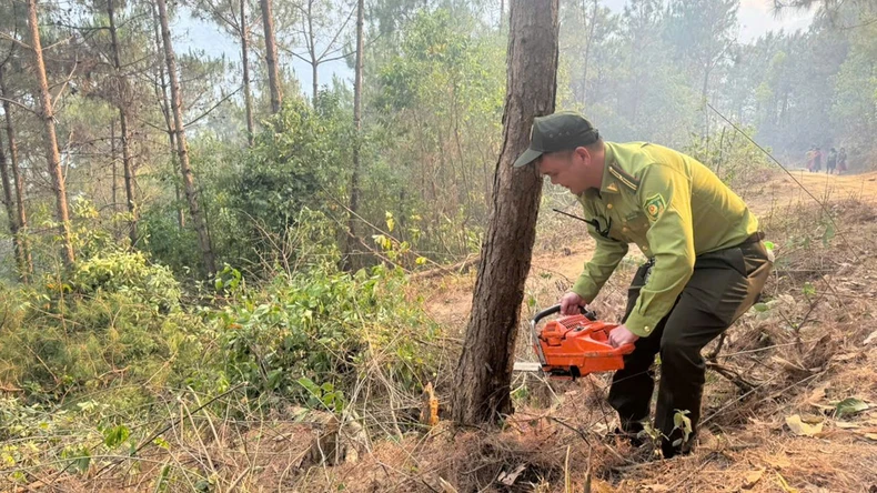 ชาวอำเภอด่งวานระดมกำลังกว่า 200 นาย ดับไฟป่าในชุมชนชายแดนมาเล่ ภาพที่ 3