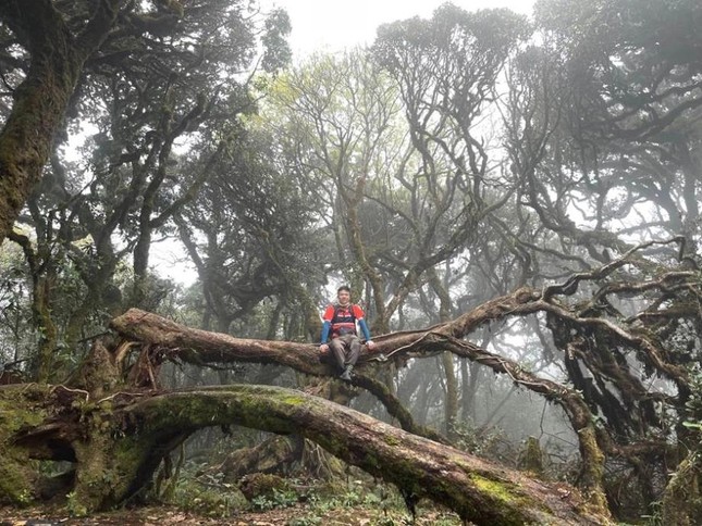 More than 100 journalists participate in the 'Walking on the Clouds' Mountain Climbing Competition to conquer Ta Xua peak photo 2