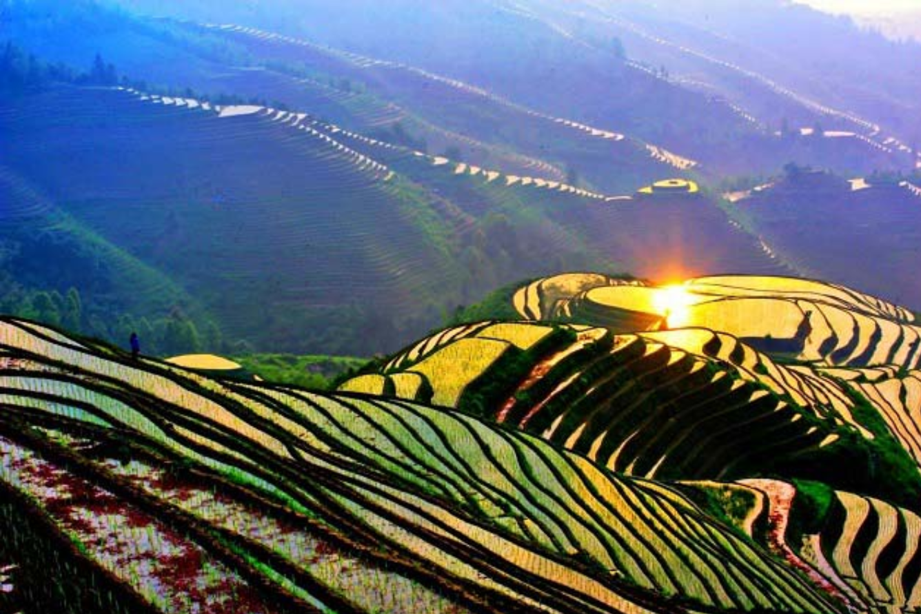 ruong-bac-thang-long-tich-7.png