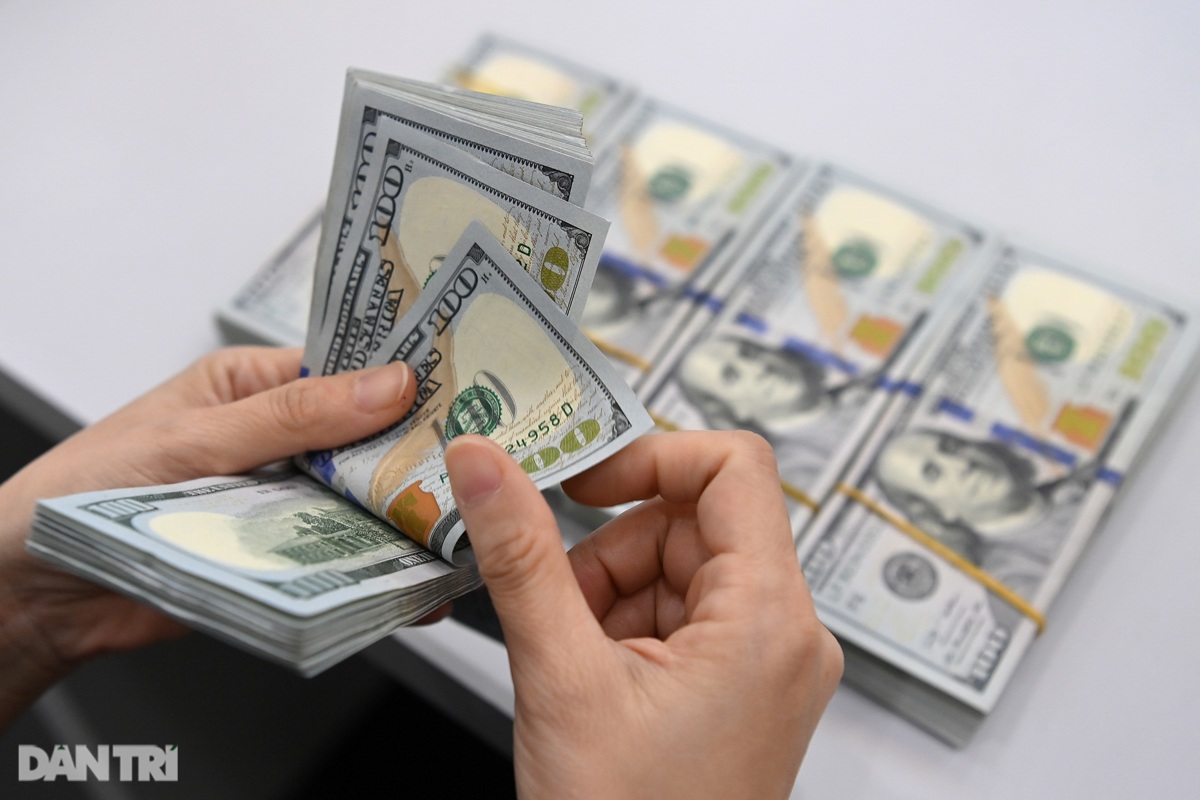 New tariff policy: Finding opportunities in challenges - 2