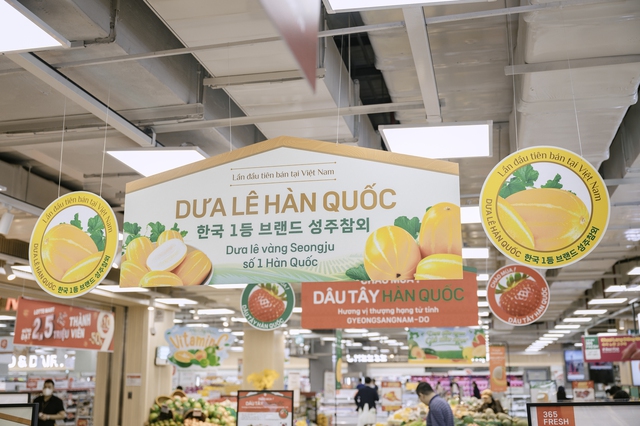 Dưa lê vàng đặc sản Hàn Quốc lần đầu tiên có mặt tại Việt Nam- Ảnh 6.