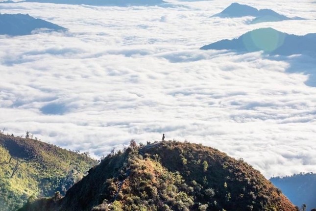More than 100 journalists participate in the 'Walking on the Clouds' Mountain Climbing Competition to conquer Ta Xua peak photo 1