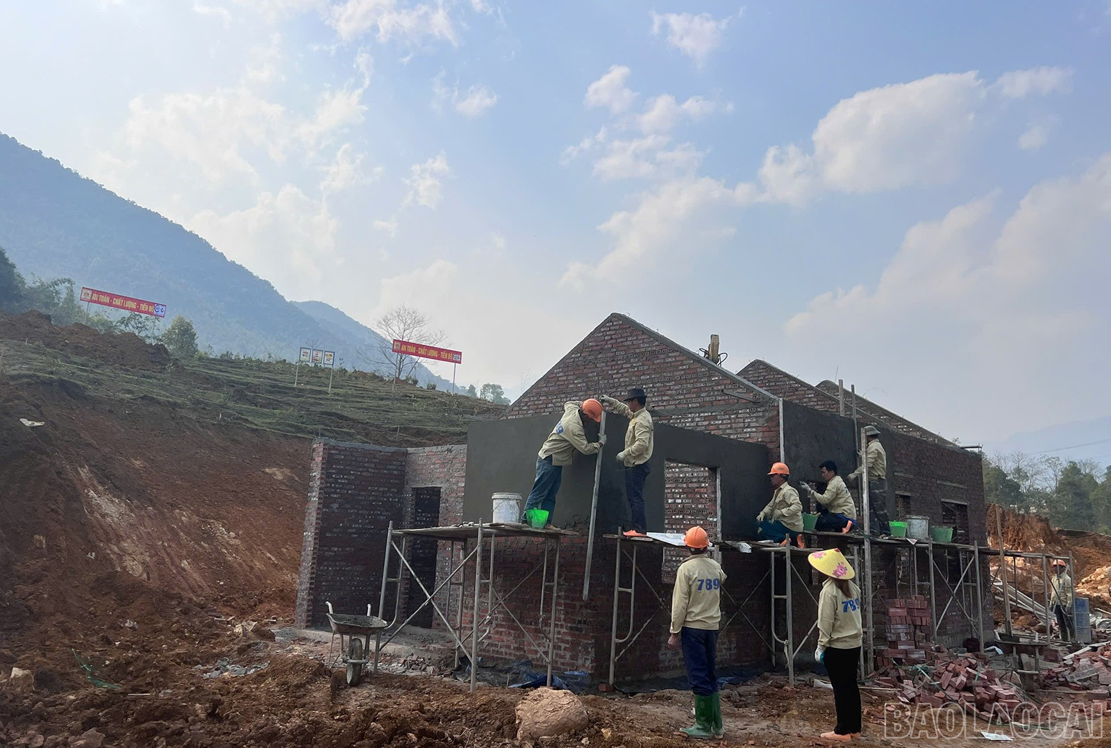 baolaocai-br_z6467630715674-65a627774d5aa93d3ca426422faa13a1.jpg