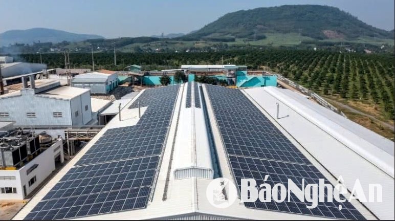 THミルク工場の最新太陽光発電システム。写真: TH