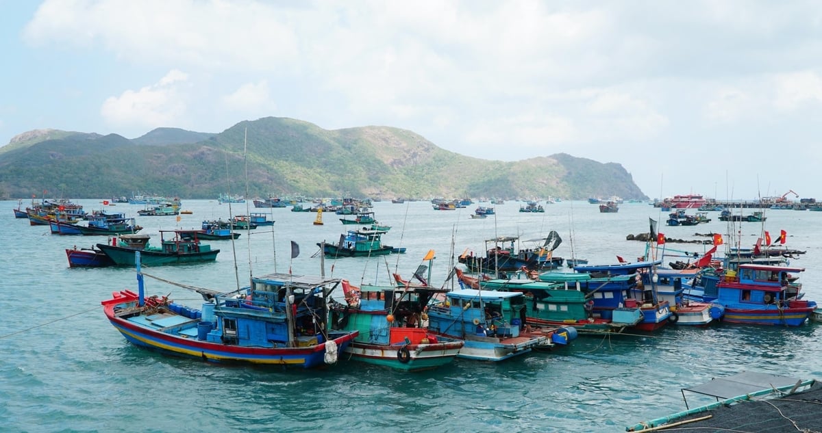 Hầu hết tàu cá của Bà Rịa - Vũng Tàu đều tự trang bị các loại các loại máy định vị, máy tầm ngư, ra đa, liên lạc vô tuyến, hệ thống kéo lưới và lái thủy lực bán tự động... Ảnh: Trần Phi.