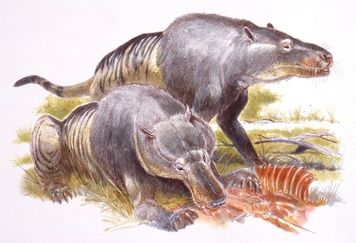 El aterrador poder del animal más grande que jamás haya existido - Imagen 6