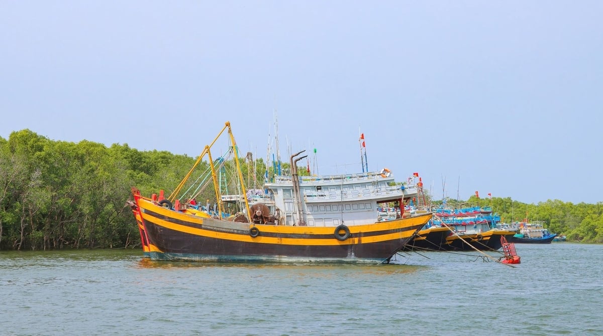 Việc trang bị các phần mềm, kĩ thuật công nghệ giúp các tàu cá chấp hành các khuyến cáo của EC tốt hơn trong chống khai thác IUU. Ảnh: Trần Phi.