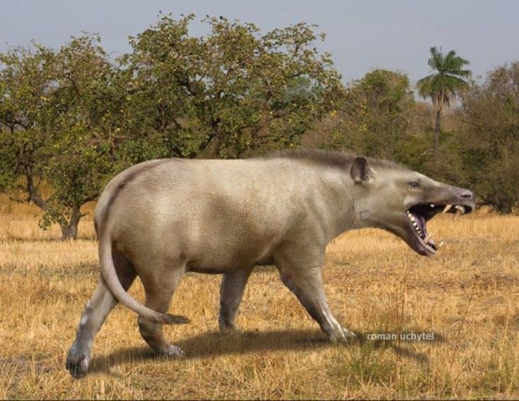 El aterrador poder del animal más grande jamás existido - Imagen 5