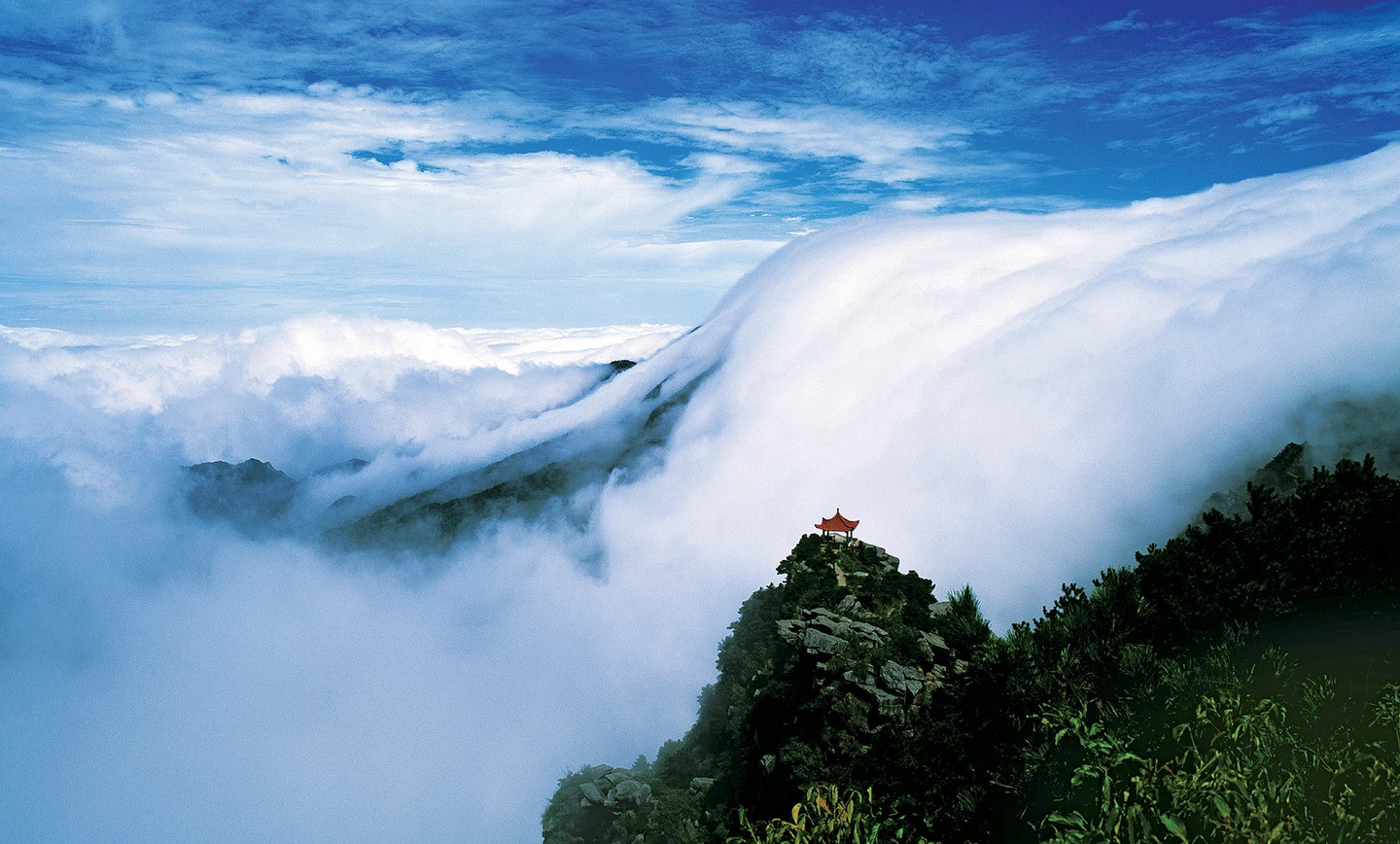 may-che-phu-vuon-quoc-gia-loc-son.jpg