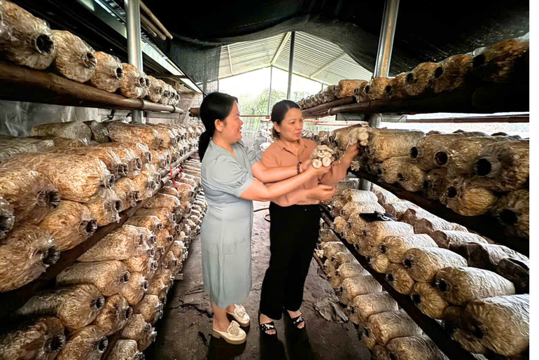 t20-phu-nu-bac-kan-ngay-cang-khang-dinh-duoc-vai-tro-cua-minh-trong-phat-trien-kinh-te.png