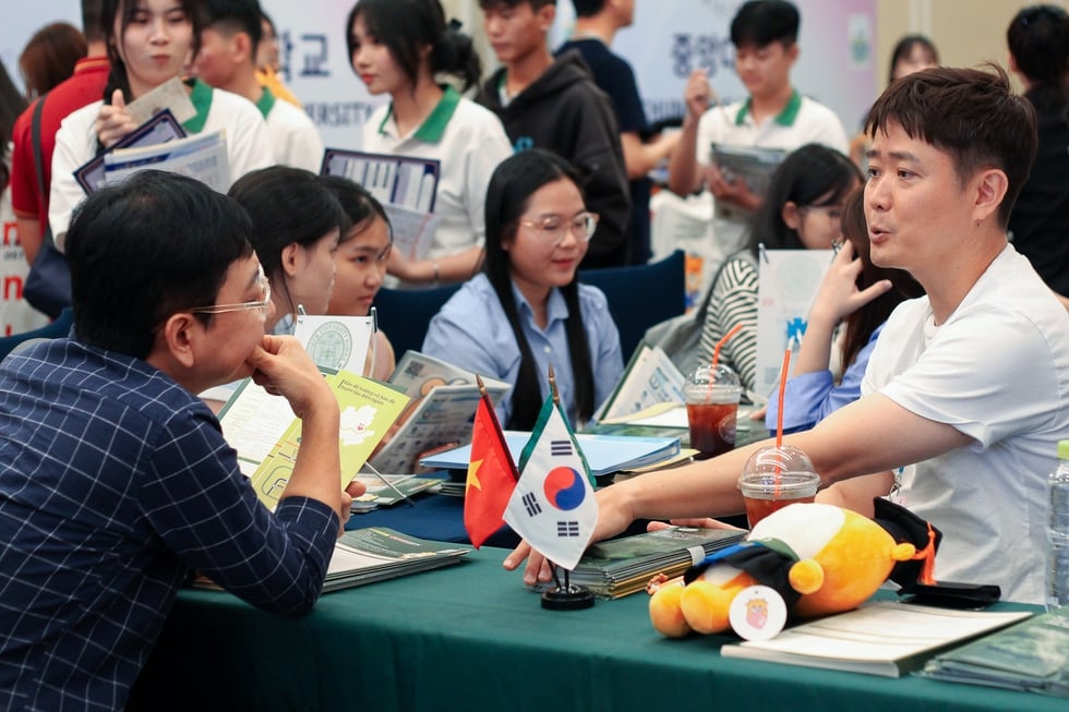 Bằng cấp VN được công nhận, tăng cơ hội du học cho người Việt- Ảnh 2.