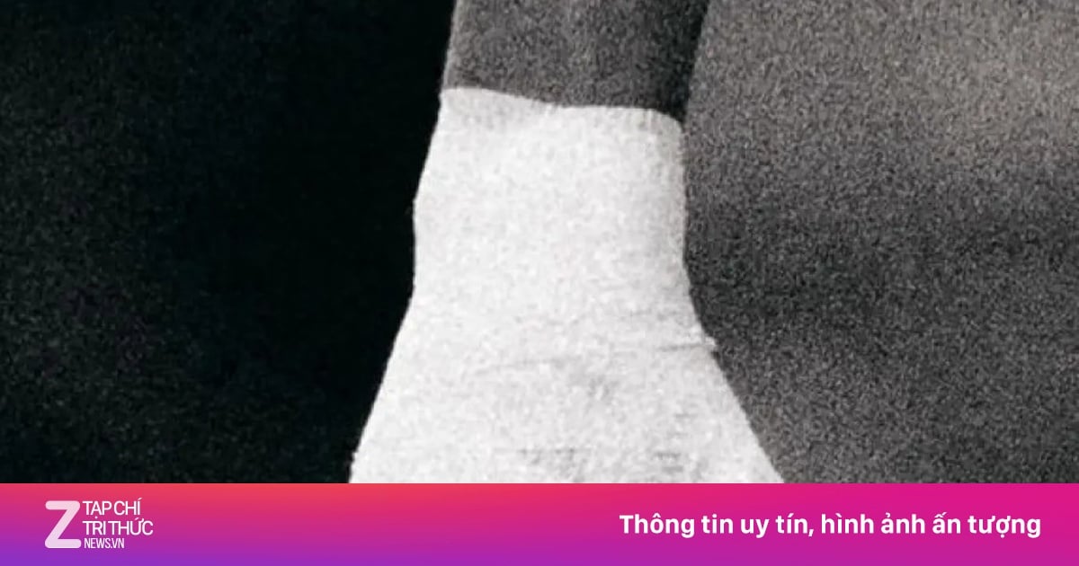 야말의 눈길을 끄는 이미지