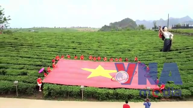 Hàng ngàn lượt du khách đến Cao nguyên Mộc Châu trong dịp nghỉ lễ 30/4