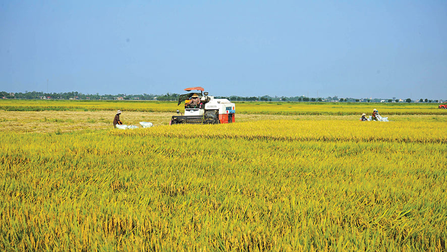 ដាននៃកសិកម្មសរីរាង្គ