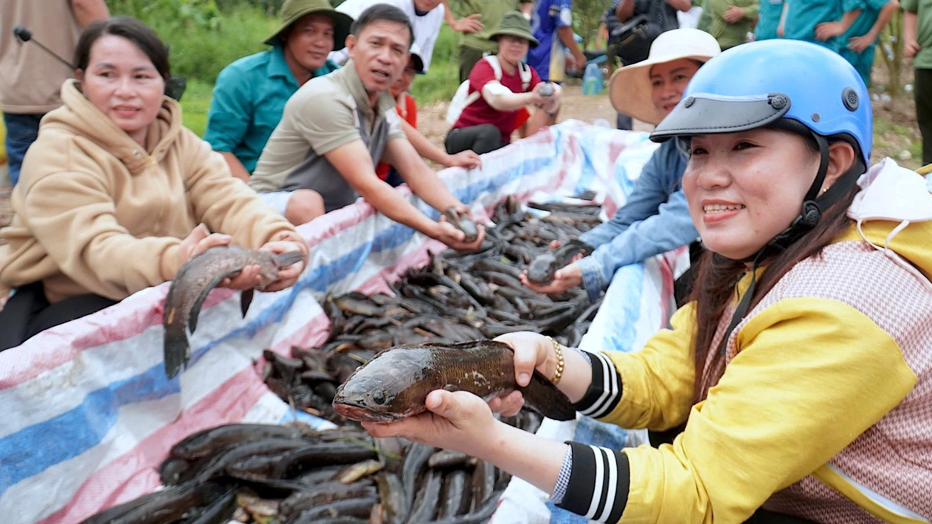 Trải nghiệm đi cầu khỉ, chụp đìa bắt cá ở miệt rừng U Minh Hạ ảnh 3