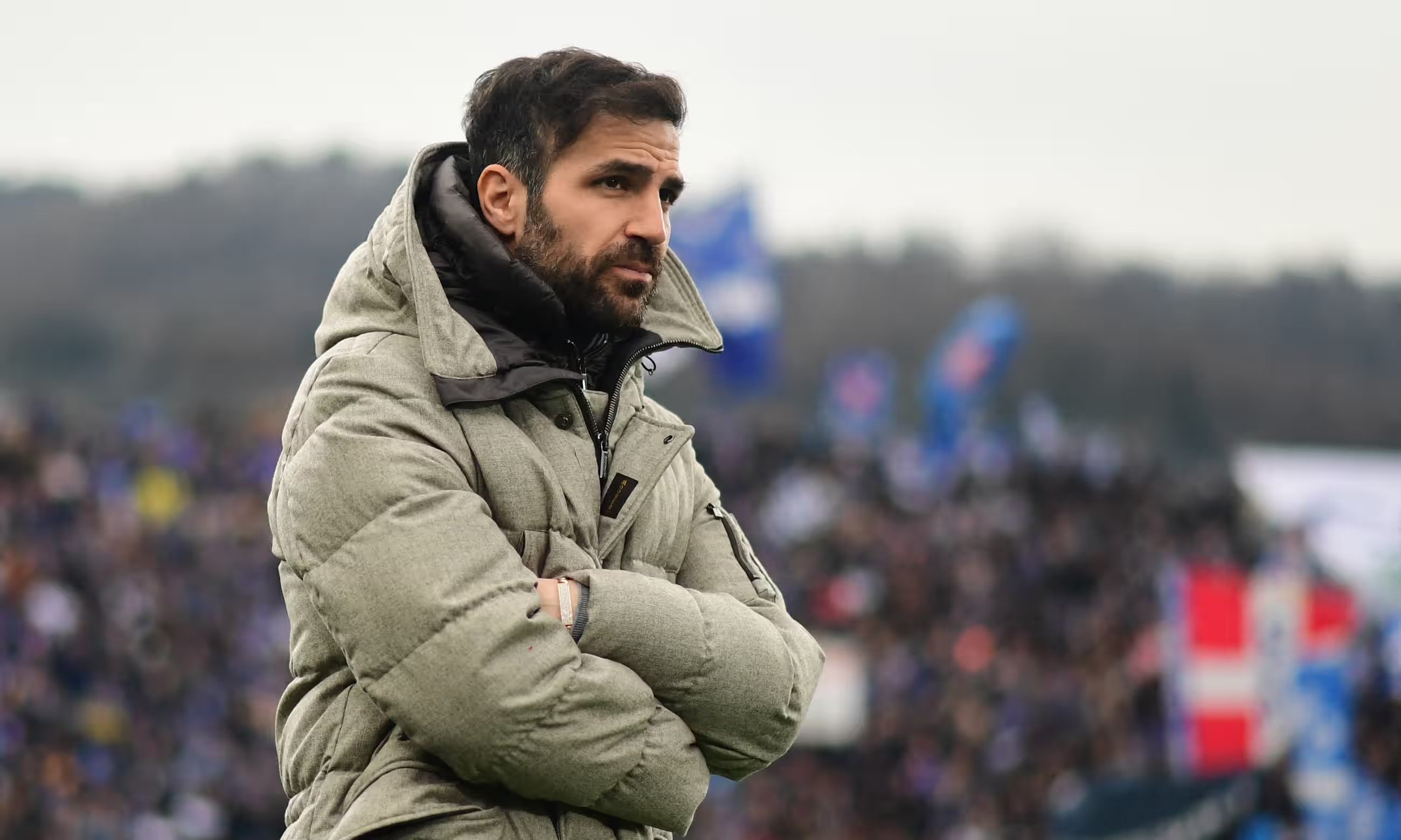 Cesc Fabregas anh 1