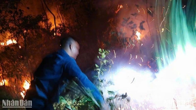 Cơ quan chức năng huy động lực lượng, tiếp cận hiện trường thực hiện các biện pháp dập lửa. 