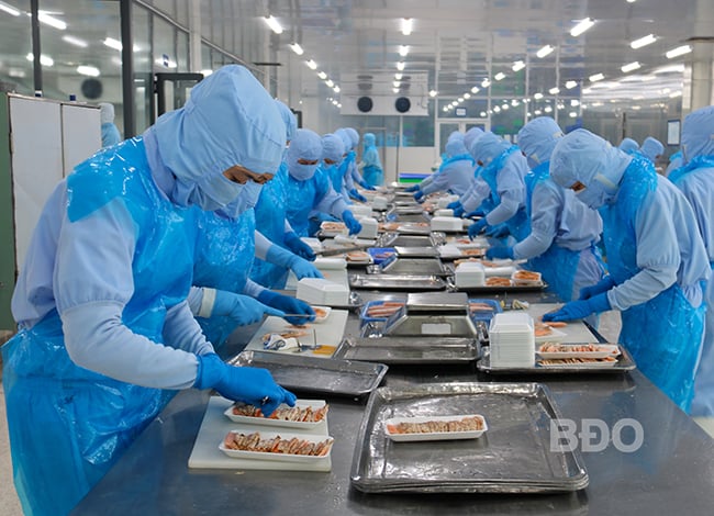빈딘성 노동자들이 새로운 시대로 접어들다