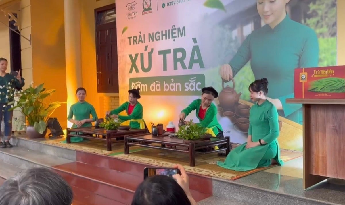 Thưởng trà Tân Cương (Thái Nguyên) ở farmstay