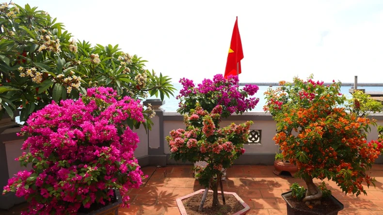 សួនពិសេសនៅវត្តថ្មមួយ រូបថត ៩