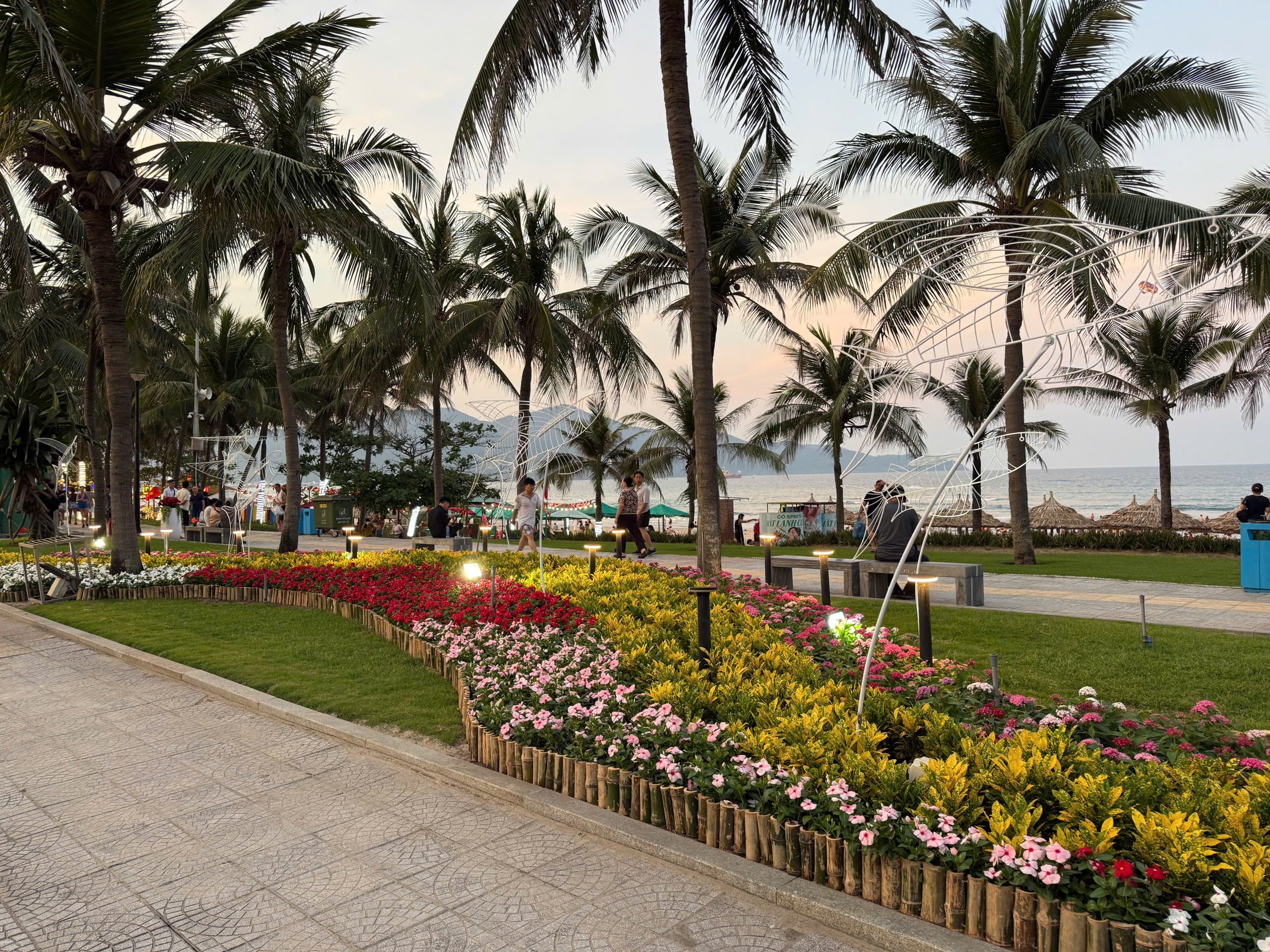 Đường ven biển hóa đường hoa, người người nô nức check-in- Ảnh 7.