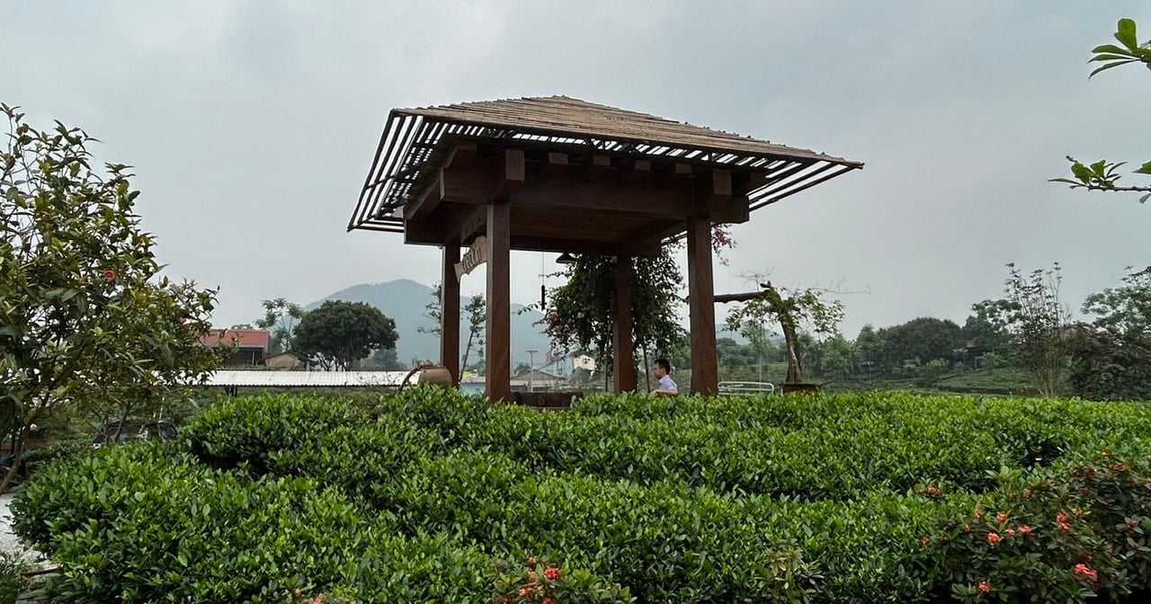 doi-che-thai-nguyen.jpg