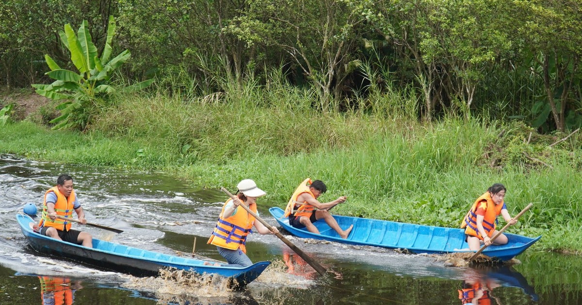 Rộn ràng bơi xuồng ba lá, đi cầu khỉ giữa rừng nguyên sinh Cà Mau