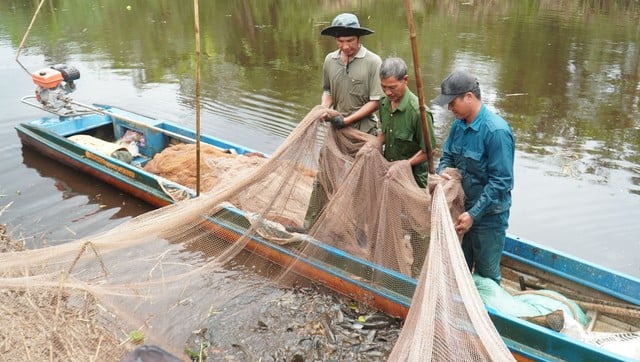 Rộn ràng bơi xuồng ba lá, đi cầu khỉ giữa rừng nguyên sinh Cà Mau- Ảnh 4.